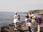 s-PB232785.jpg