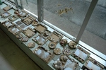 s-DSC_6841.jpg