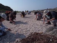 s-漂着物採集1.jpg