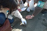 s-DSC_8035.jpg