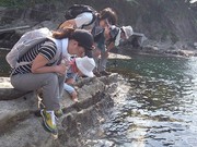 s-潮間帯下部観察2.jpg s-潮間帯下部観察2.jpg