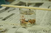 s-DSC_9496.jpg