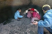 s-DSC_9770.jpg
