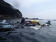 s-P180005.jpg