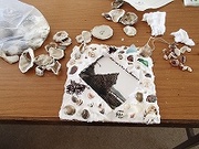s-P8190114.jpg